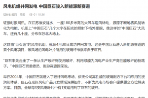 时报：风电机组并网发电 中国人生就是博尊龙ag驶入新能源新赛道